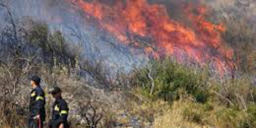 ΠΑΦΟΣ: Υπό μερικό έλεγχο φωτιά που εκδηλώθηκε στην περιοχή Μούσερε 